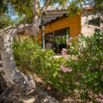 camping peniscola